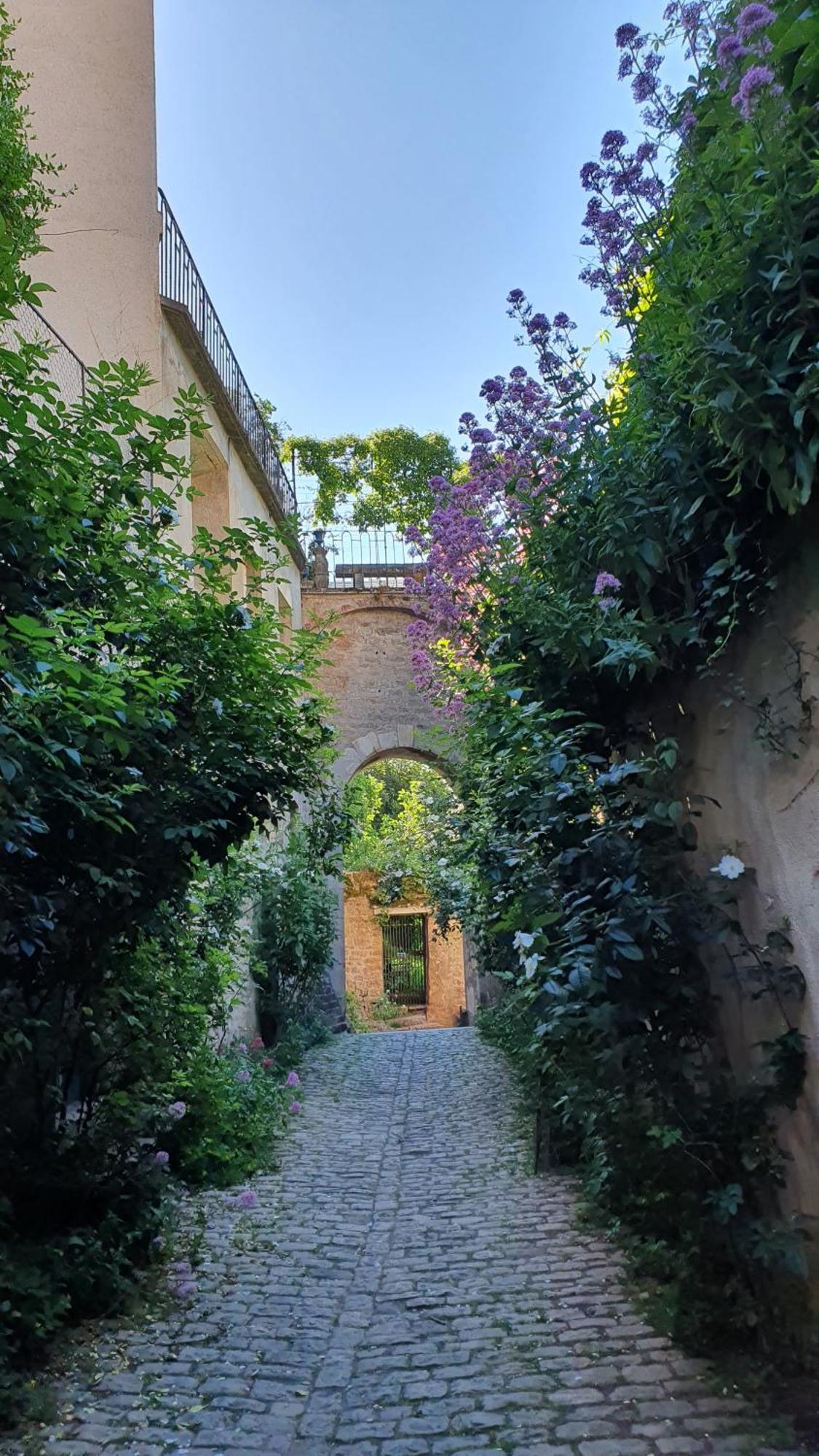 Etape Du Pont Pinard Villa Semur-en-Auxois Dış mekan fotoğraf